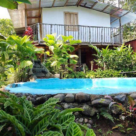Cabana Vista Rio Celeste Zewnętrze zdjęcie