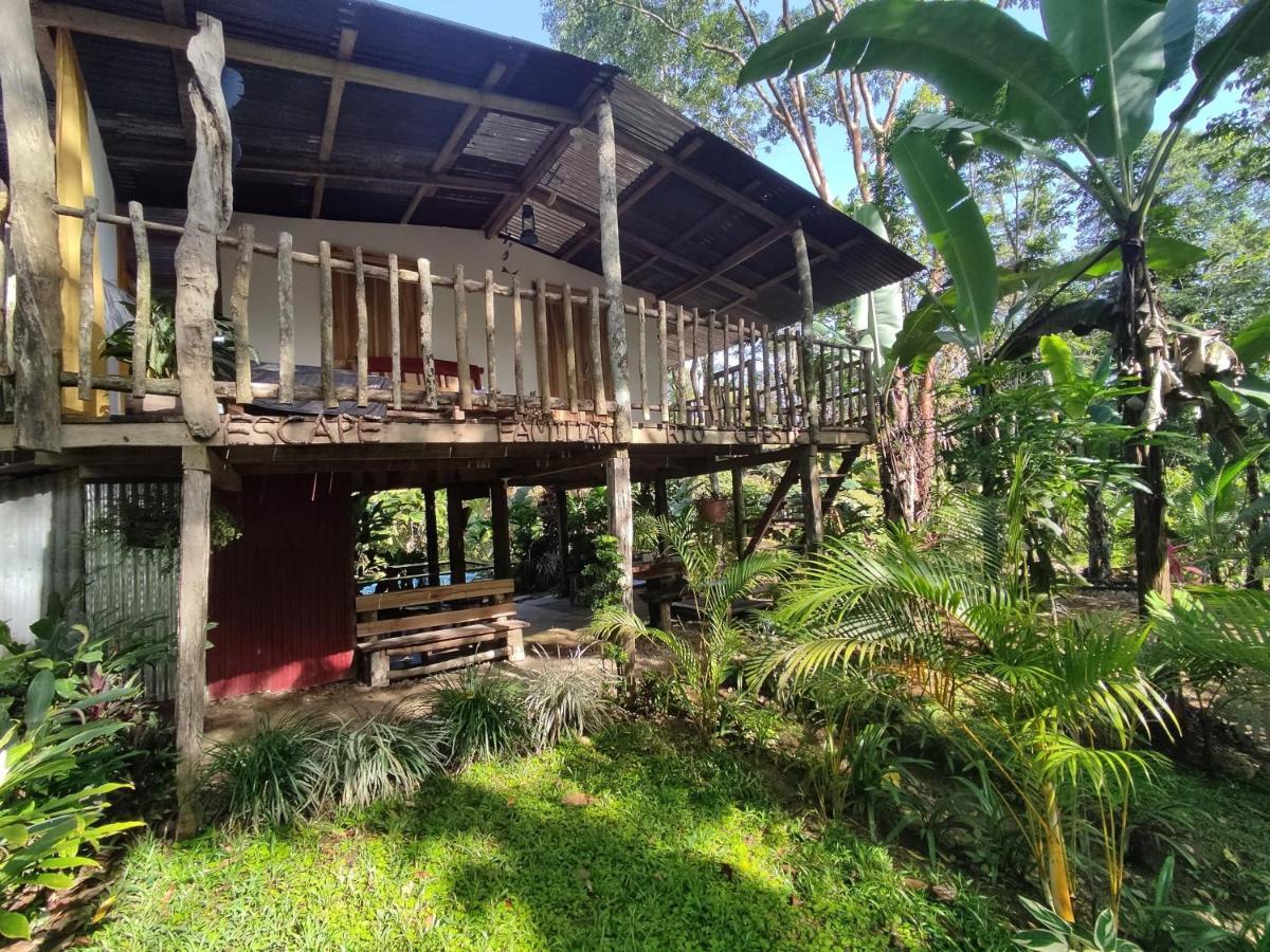 Cabana Vista Rio Celeste Zewnętrze zdjęcie