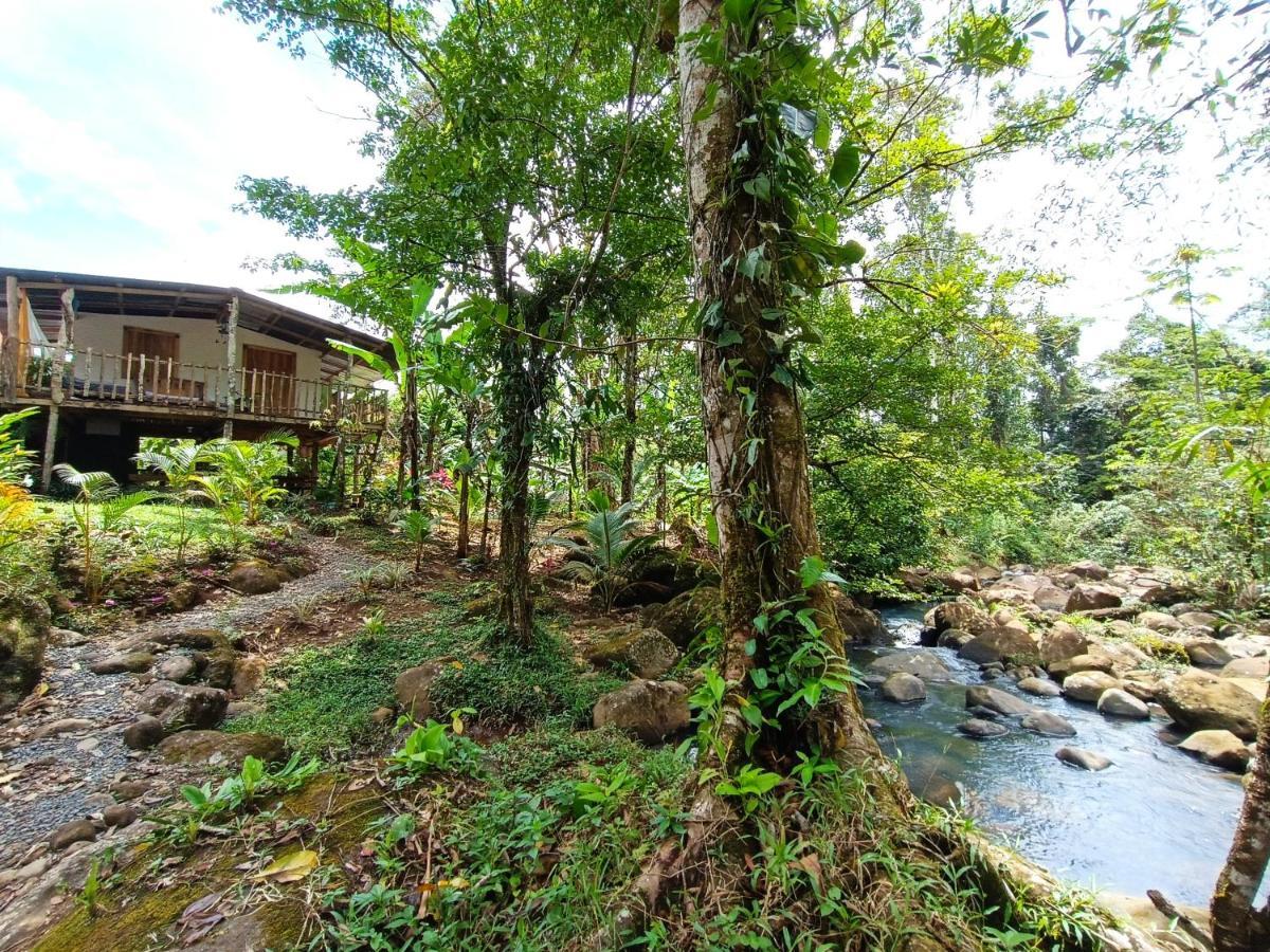 Cabana Vista Rio Celeste Zewnętrze zdjęcie