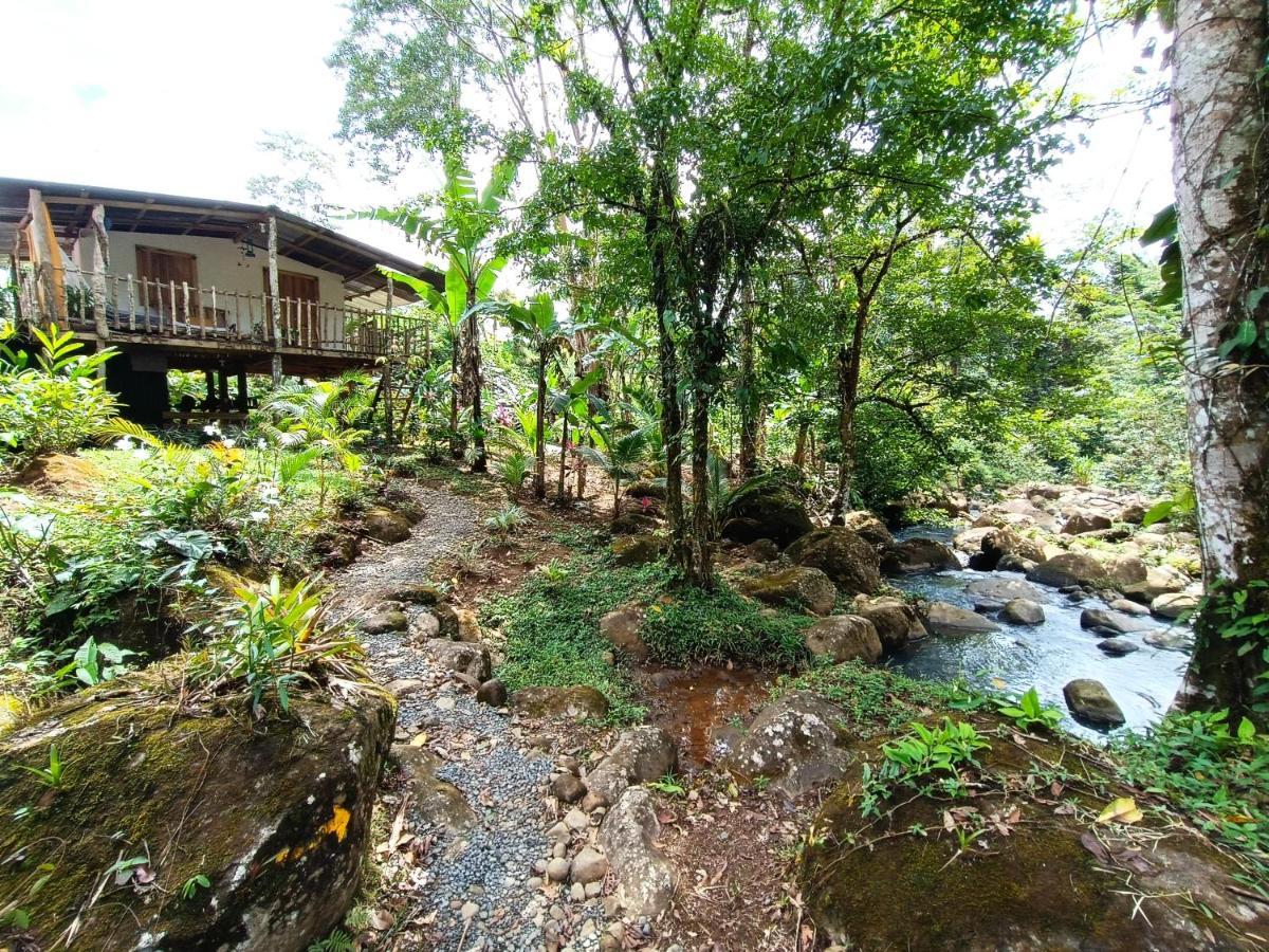 Cabana Vista Rio Celeste Zewnętrze zdjęcie