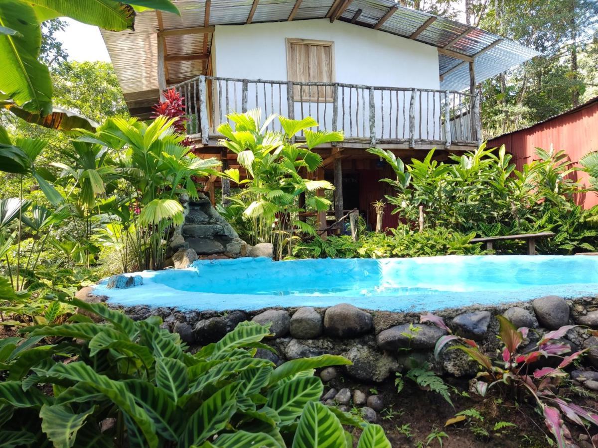 Cabana Vista Rio Celeste Zewnętrze zdjęcie