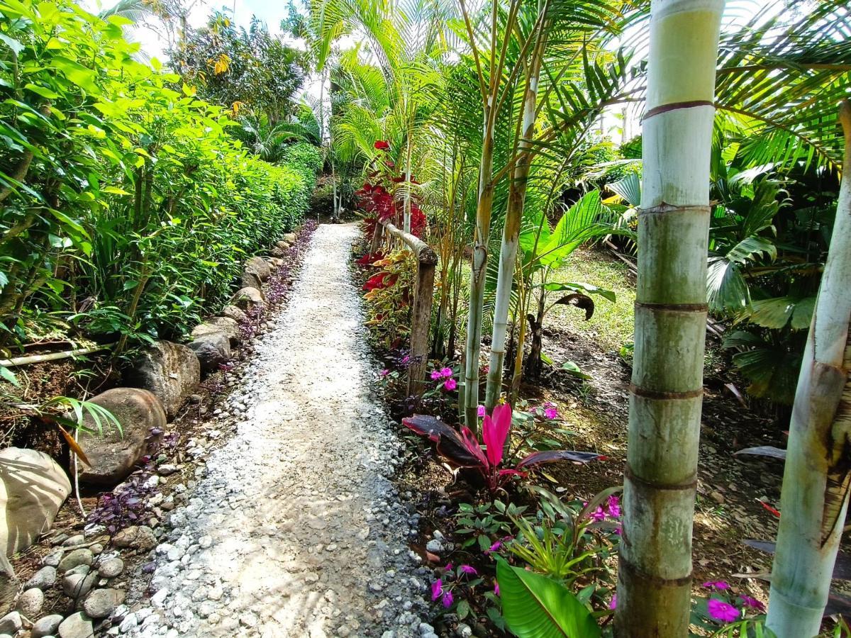 Cabana Vista Rio Celeste Zewnętrze zdjęcie