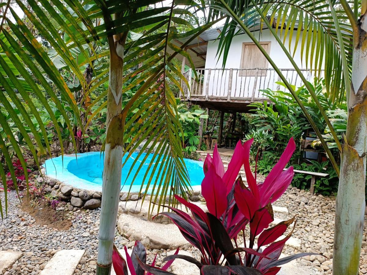 Cabana Vista Rio Celeste Zewnętrze zdjęcie