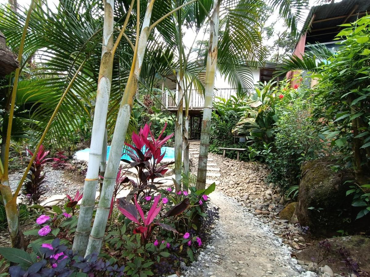 Cabana Vista Rio Celeste Zewnętrze zdjęcie
