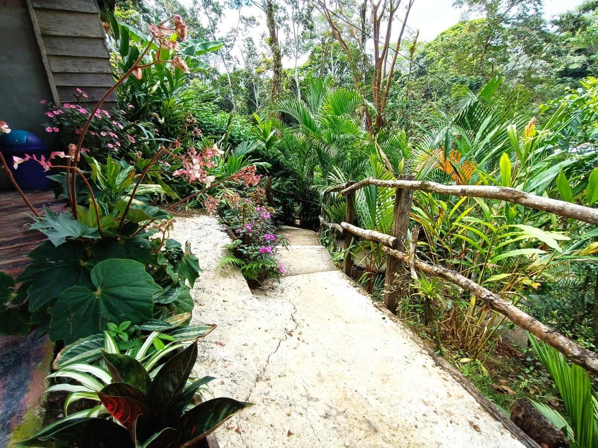 Cabana Vista Rio Celeste Zewnętrze zdjęcie
